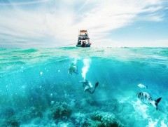 Далайн хүчилтөрөгчийн хэмжээ багасаж байна 