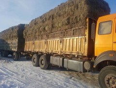 Завхан аймгийн зургаан сумын 20 гаруй баг зудын эрсдэлтэй байна