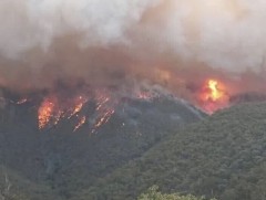 Гал түймрийн улмаас 5 тэрбум Австрали долларын алдагдал хүлээхээр байна