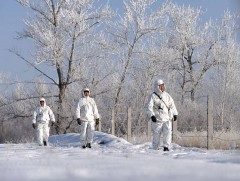 Хорь гаруй тооны хулгайн адуу хил давуулахыг завджээ
