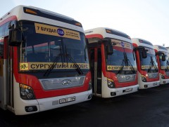 “Хүүхдийн автобус” нэвтрүүлэг     