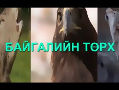 Байгалийн төрх