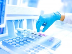 Дархлааны системийг хавдрыг эмчлэхэд ашиглана 