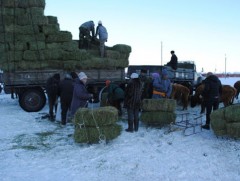 Таван аймгийн 30 гаруй суманд өвөлжилт хүндхэн байна