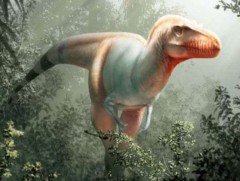 Тираннозавр үлэг гүрвэлийн шинэ төрөл Канадаас олджээ 