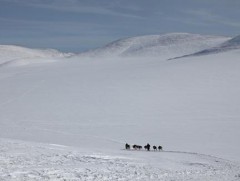 Найман аймгийн 30 гаруй суманд хаваржилт хүндрэх төлөвтэй байна
