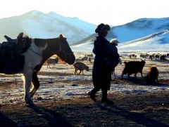 Малчин эмэгтэйчүүдийн эрхийн асуудлыг тусгай бүлэг болгохоор ажиллаж байна 