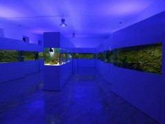 Амьтны хүрээлэн