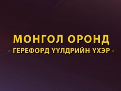 Монгол оронд Герефорд үүлдрийн үхэр