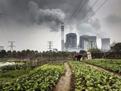 Агаар дахь нүүрстөрөгчийн ялгарал 6 хувиар буурна