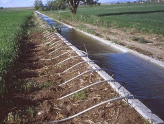 Тариалангийн усалгааг нэмэгдүүлэх боломжтой