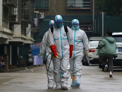 COVID-19: Олон Улсын эрдэмтдийн судалгаа, дүгнэлт...