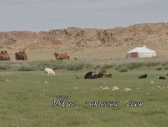 Эх өв: “Мал хөнгөлөх ёсон”