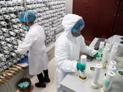 ДЭМБ: Хятадын лабораториос коронавирус тархсан гэх мэдээлэл таамаг төдий байна