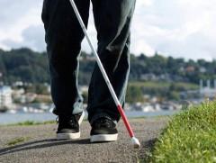 Хөгжлийн бэрхшээлтэй иргэдийг ажилд зуучилдаг 36 бирж байдаг