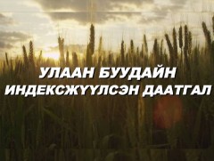 Улаан буудайн индексжүүлсэн даатгал