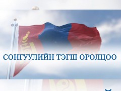 Сонгуулийн тэгш оролцоо  