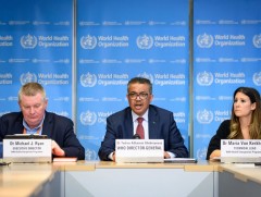 ДЭМБ шинжээчдийн багаа Хятад руу ирэх сард илгээнэ