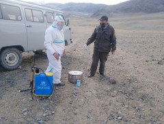 Тарваган тахлын өвчин үүсгэгч мэрэгчийн арьс, хоол хүнс зэрэгт 4-165 хоног хадгалагддаг