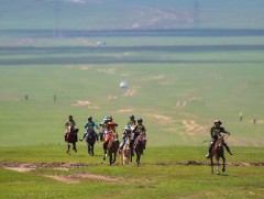 Төрийн их баяр наадмын дааганы уралдаанд С.Тэмүүжингийн хул даага түрүүллээ
