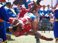 Үндэсний их баяр наадмын Хүчит бөхийн барилдааны наймын даваа /шууд/