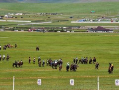 Т.Баяржавхлангийн хээр үрээ төрийн их баяр наадмын хурдан шүдлэнгийн уралдаанд түрүүллээ