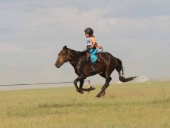 Дорнодын наадмын их насны морьдын уралдаанд Б.Намнандоржийн хээр түрүүллээ