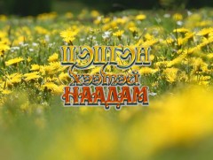 “Цэцгэн хээтэй наадам” хүүхдийн концерт