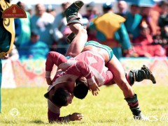 Үндэсний их баяр наадмын ДОЛООГИЙН даваанд ам авсан байдал...