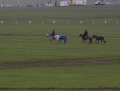 Хурдан морины өнөөдрийн уралдааныг 13-нд болгож хойшлууллаа