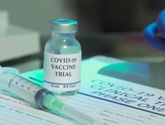 Владимир Путин “Ковид-19”-ийн эсрэг Оросын вакцин бэлэн болсон гэдгийг хэлжээ