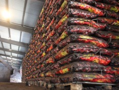 Сайжруулсан шахмал түлш нөөцлөх ажил хийж байна    