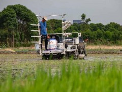 Усан тутаргын талбайн тариачин “робот”