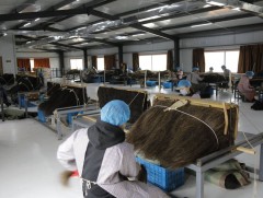 Адууны дэл, сүүлийг боловсруулж 20 гаруй нэр төрлийн бүтээгдэхүүн үйлдвэрлэх боломжтой