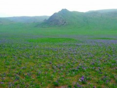 Отрын бүс нутагт өвөлжих малчдын хүсэлтийг авч эхэллээ