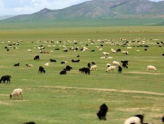 Малчин Батбаатар нутгаасаа гараад хагас сар гаруй хугацаанд оторлож байна