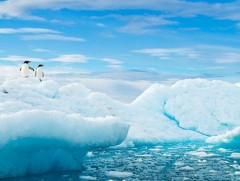 Арктикийн далайн мөсний хэмжээ түүхэн дэх 2 дахь бага түвшинд хүрлээ  