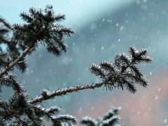 Есдүгээр сарын 20-ноос цаг агаар дахин сэрүүсэж хүйтэрнэ