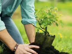 “Эх дэлхийдээ хүчилтөрөгч бэлэглэе” уриан дор мод тарилаа