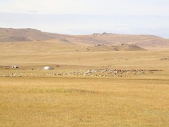 Хэрлэнбаян-Улааны отрын бүсийг цэгцлэх ажлын хэсэг байгууллаа