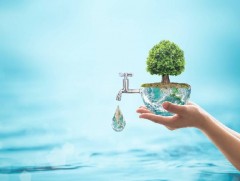 “Цэнхэр алт, ой модоо хайрлая” хамгааллын арга хэмжээг улс орон даяар зохион байгуулна