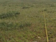 Чилэнгийн отрын бүс нутагт мал өвөлжүүлэхгүй байх хүсэлт гаргажээ 