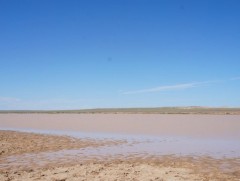 Говийн бүс нутагт урсацын тохируулга хийх замаар гадаргын ус ашиглах бодлого барьж байна