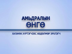Амьдралын өнгө: Халамж хүртэгчээс хөдөлмөр эрхлэгч