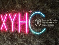 “ХҮН+С” үзэсгэлэн гарч байна