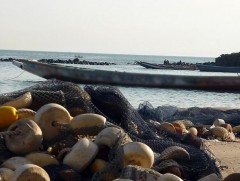 Сенегалын эрэгт 140 гаруй дүрвэгч энджээ