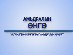 “Амьдралын өнгө” цуврал: Үйлчилгээний чанарыг амьдралын чанарт 