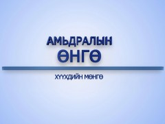 “Амьдралын өнгө” цуврал: Хүүхдийн мөнгө