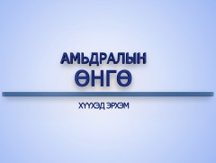 Амьдралын өнгө: Хөгжлийн бэрхшээлтэй хүүхэд