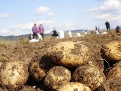 Тариаланчдын өмнө ямар асуудал тулгарч байна вэ 